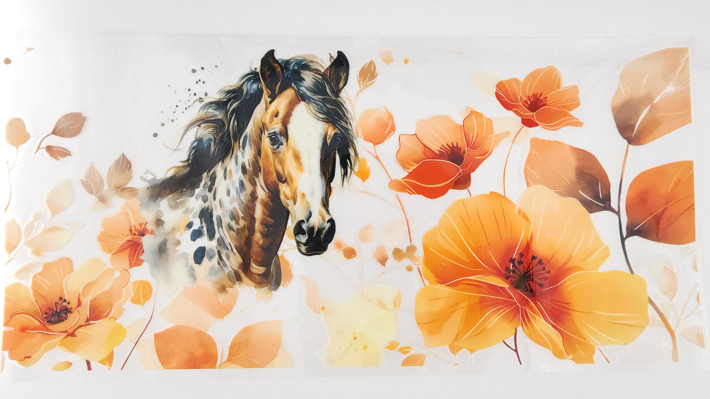 Horse 01