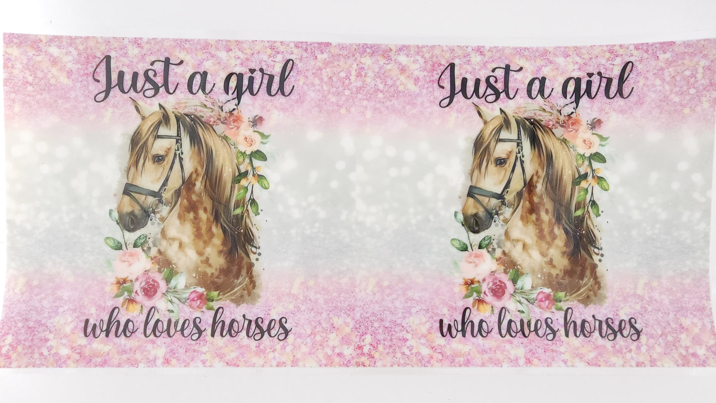 Horse 14