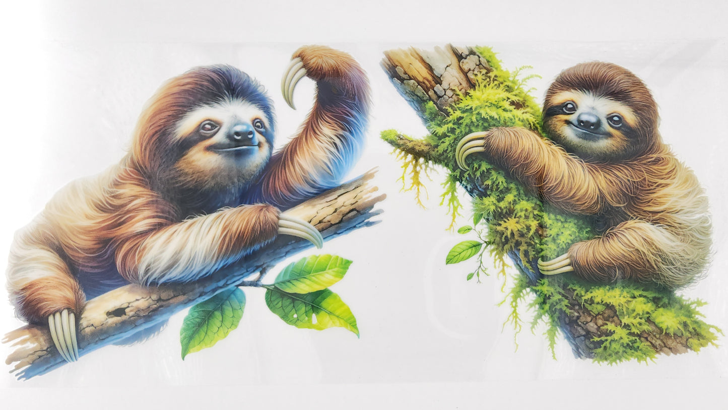 Sloth 06