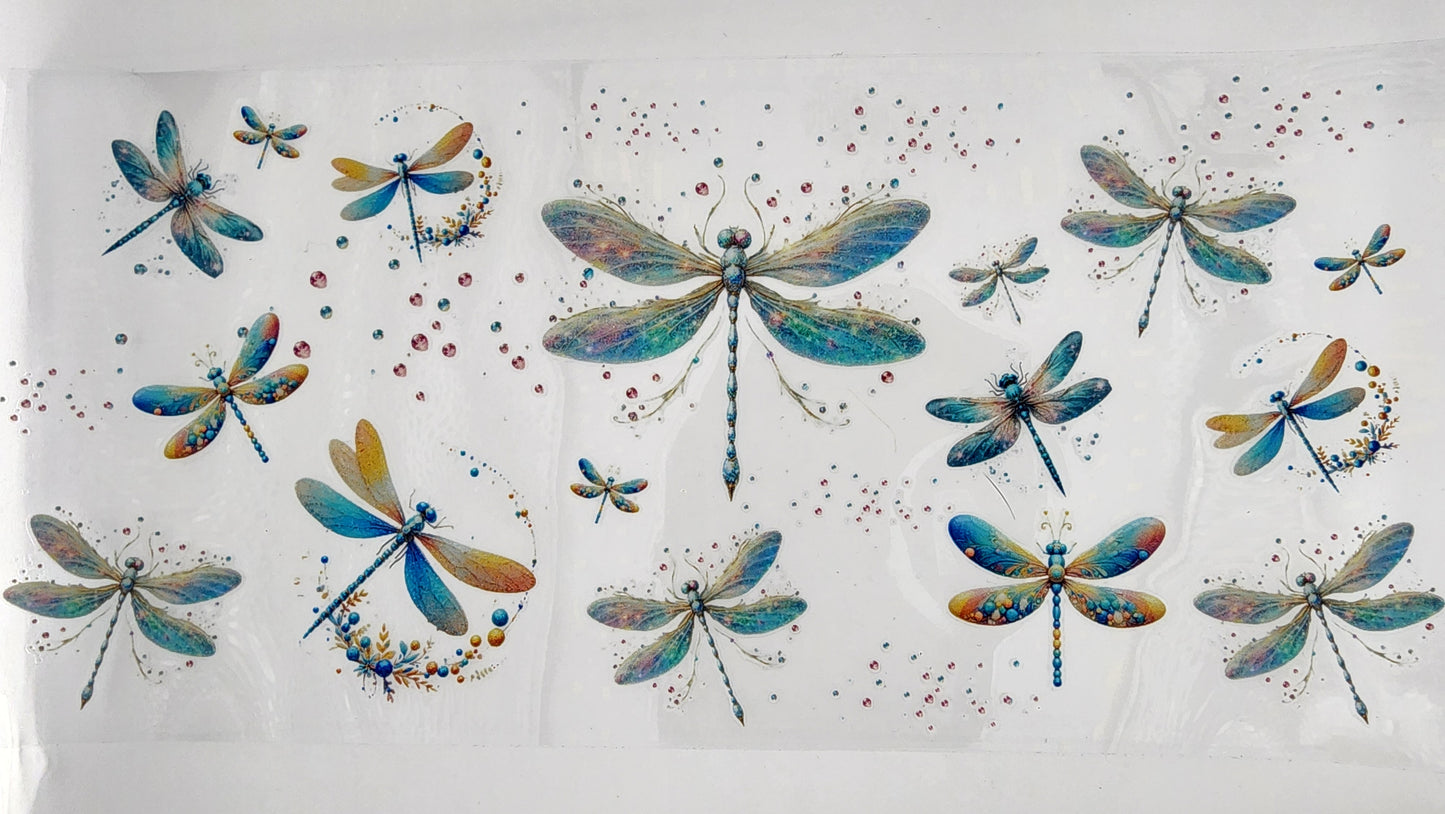 Dragonfly 04