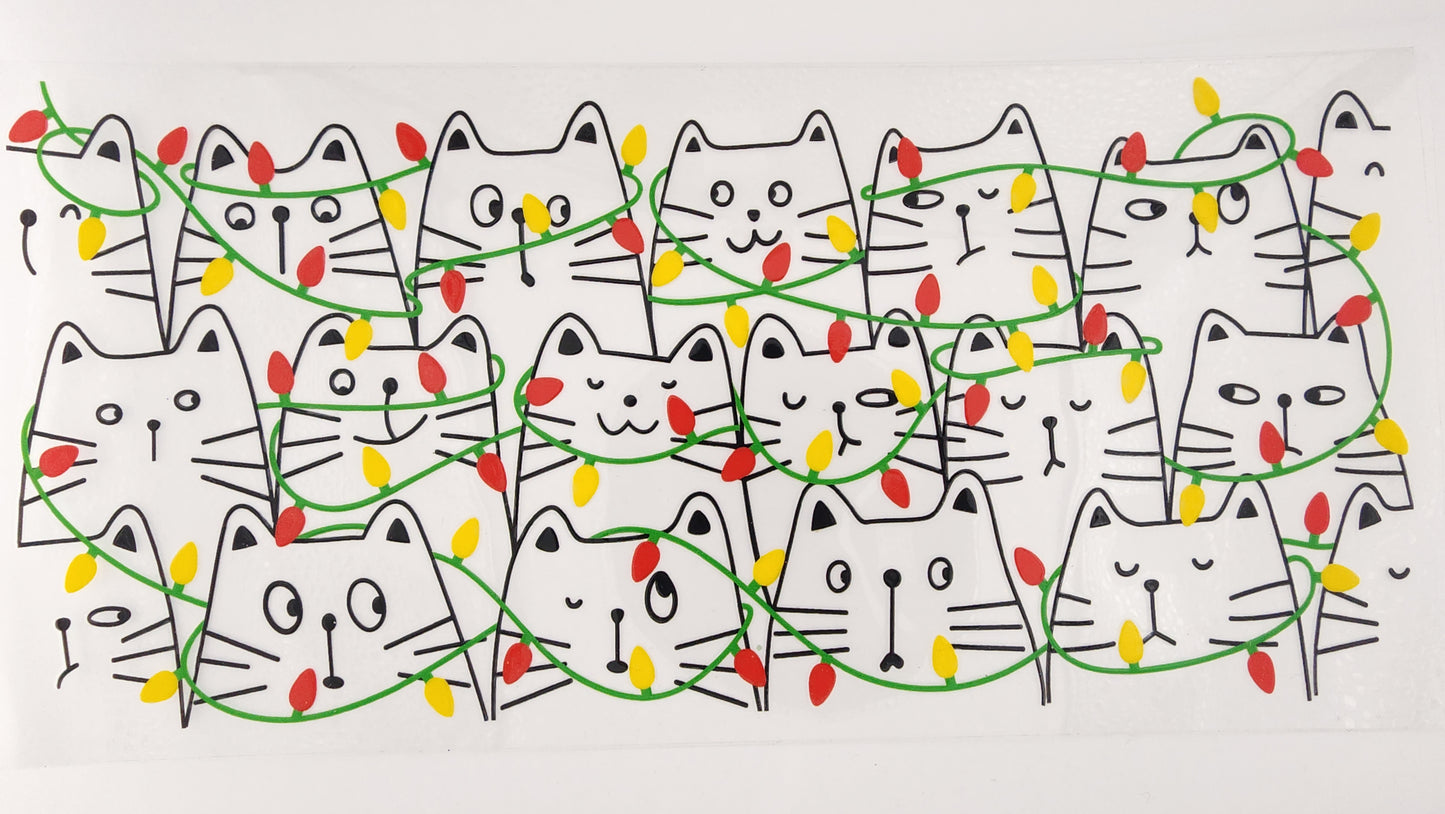 Cat 04