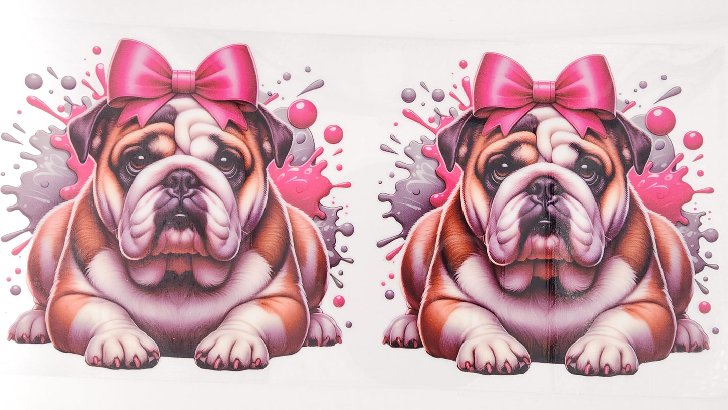 Bulldog 05