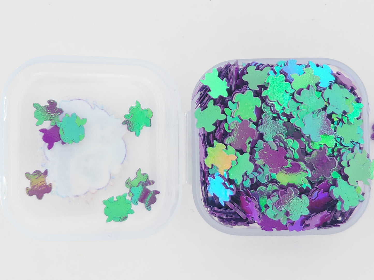 Turtle - Purple