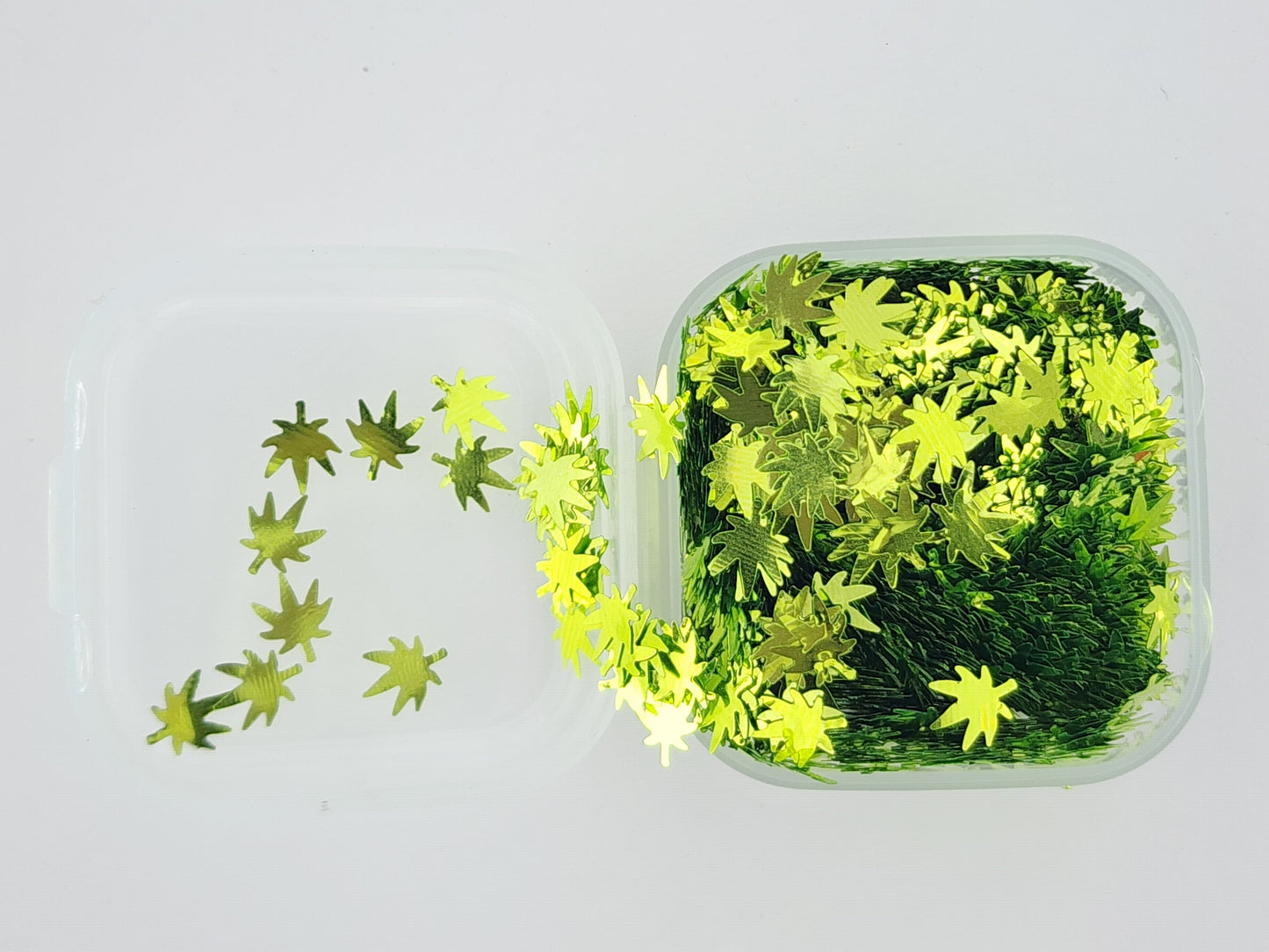Leaves - Happy
