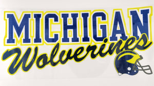 College - Michigan 10
