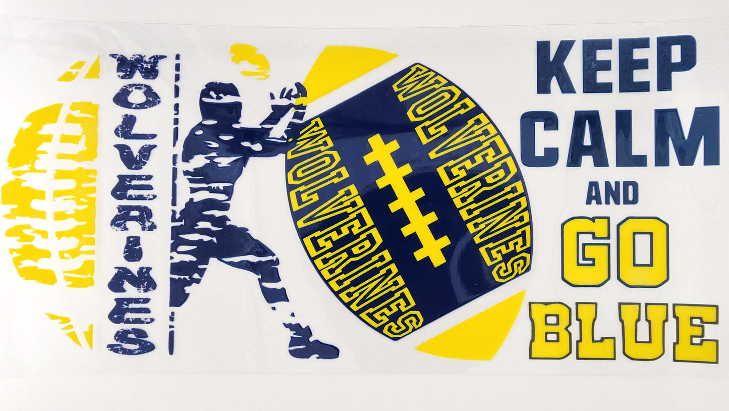 College - Michigan 11