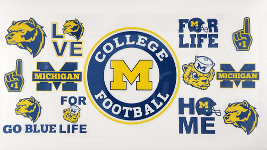 College - Michigan 6