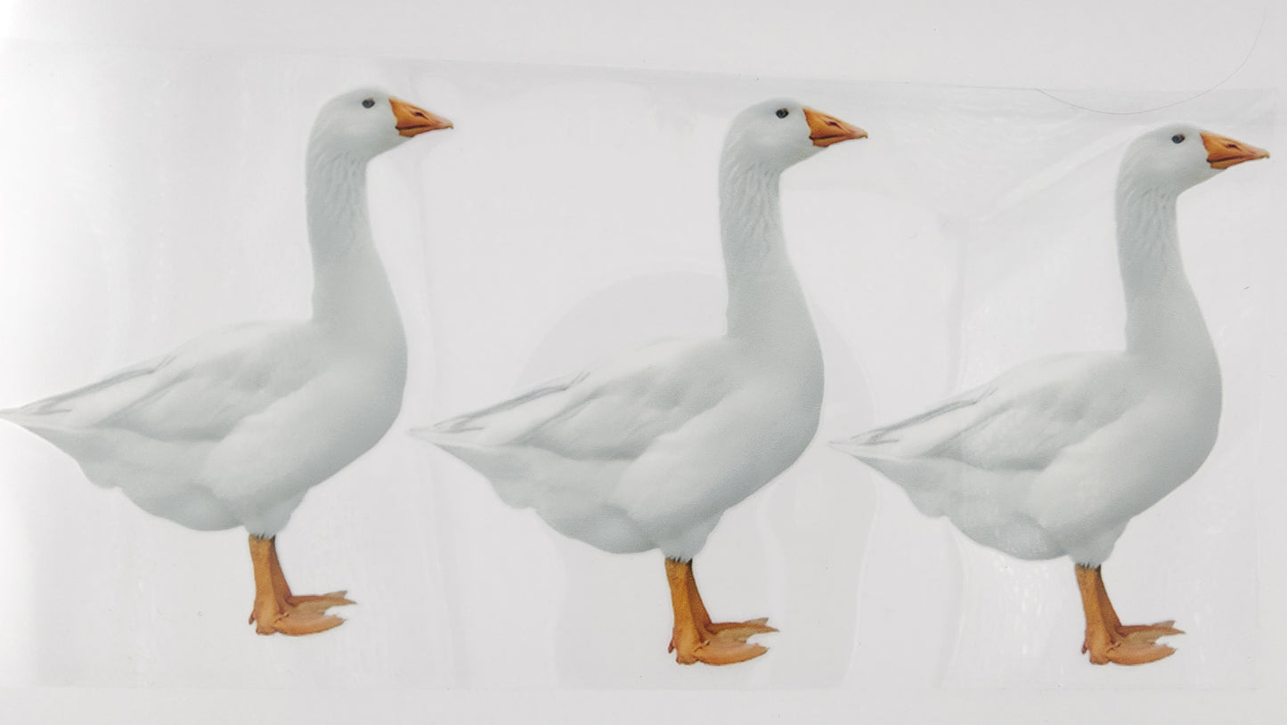 Goose 07