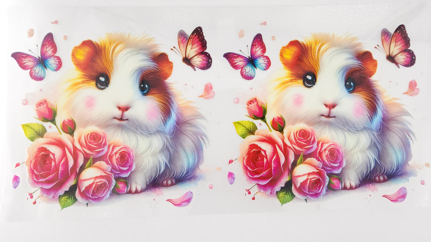 Hamster 01