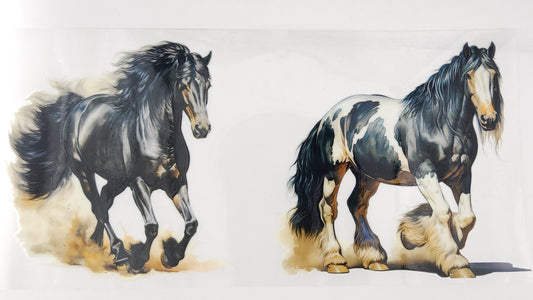 Horse 04