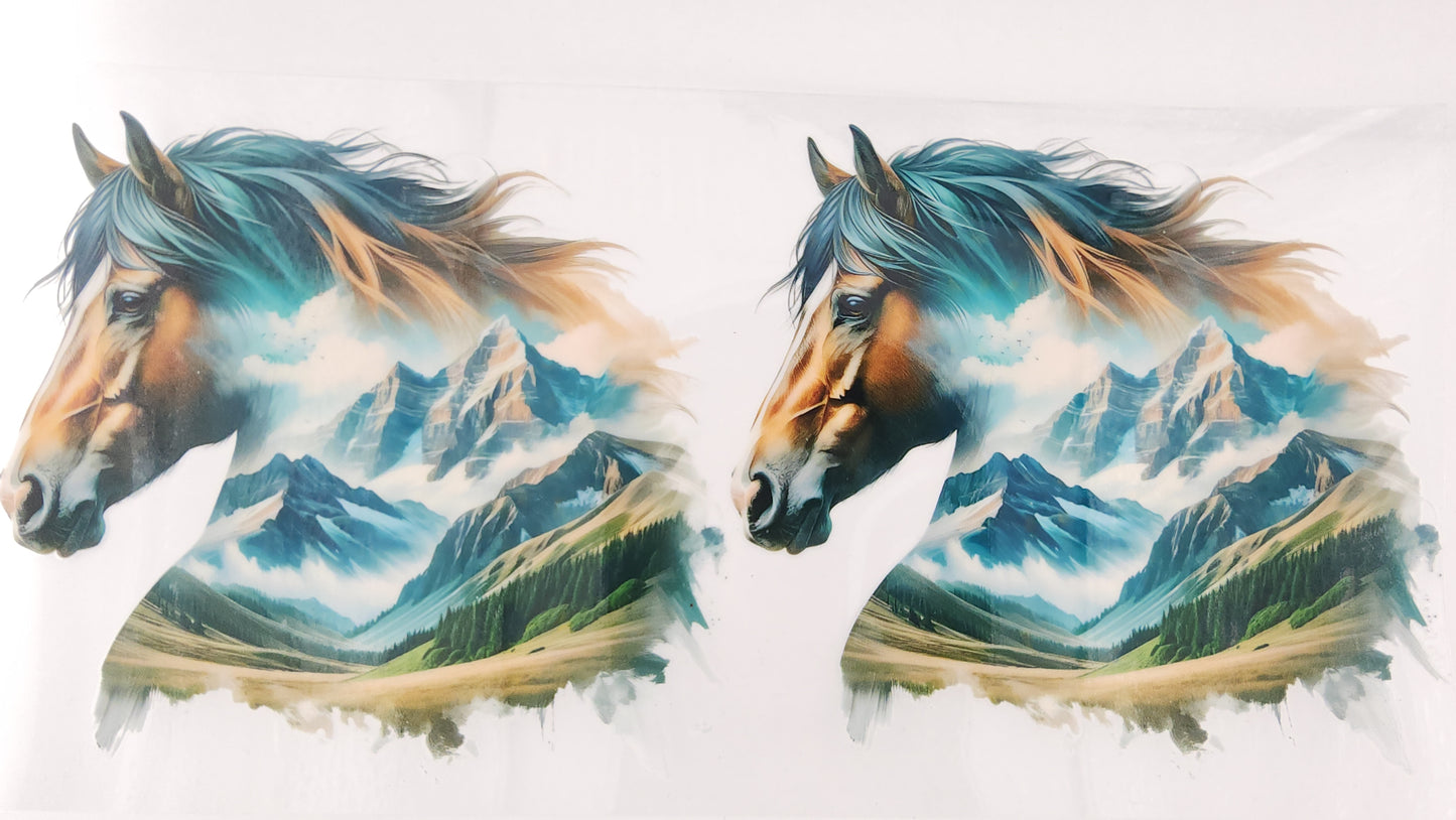 Horse 10