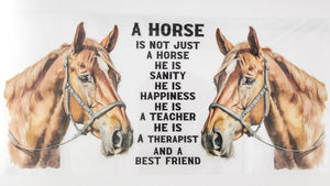 Horse 11