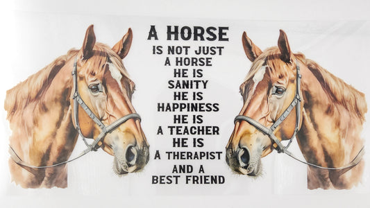 Horse 11