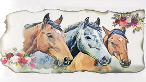 Horse 13