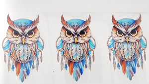 Owl 01