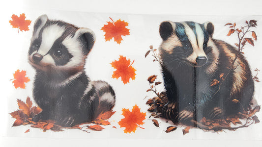 Racoon 03