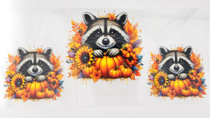 Racoon 02