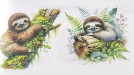 Sloth 02