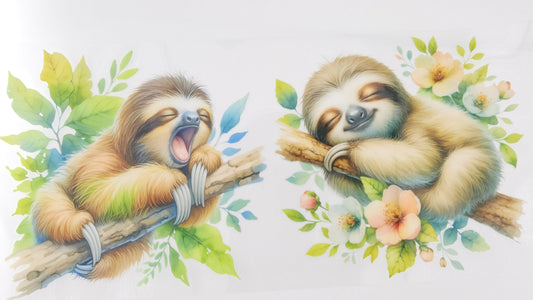 Sloth 08