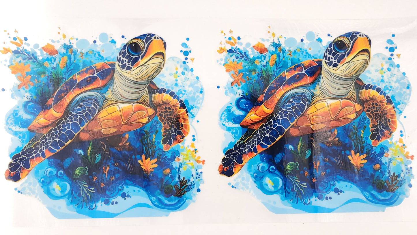 Turtle 02