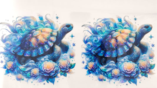 Turtle 01