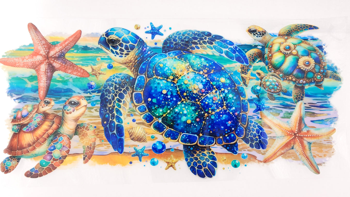Turtle 03