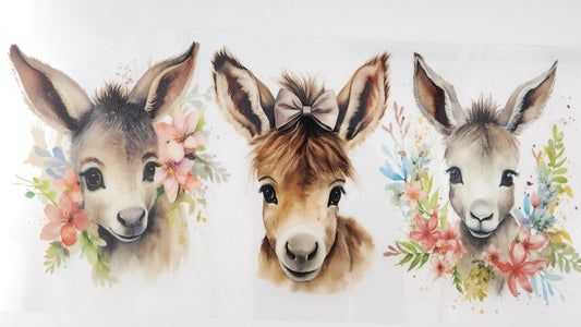 Donkey 01