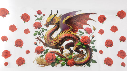 Dragon 12