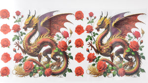 Dragon 13