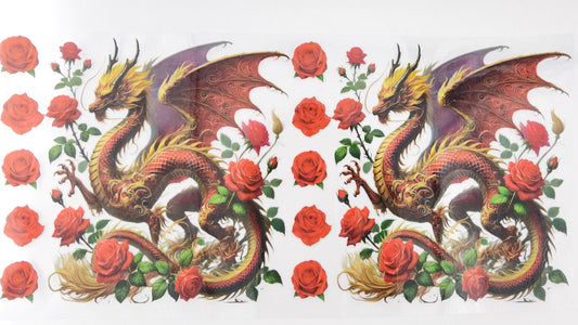 Dragon 13