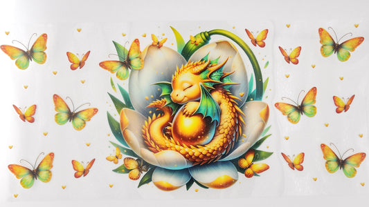 Dragon 17