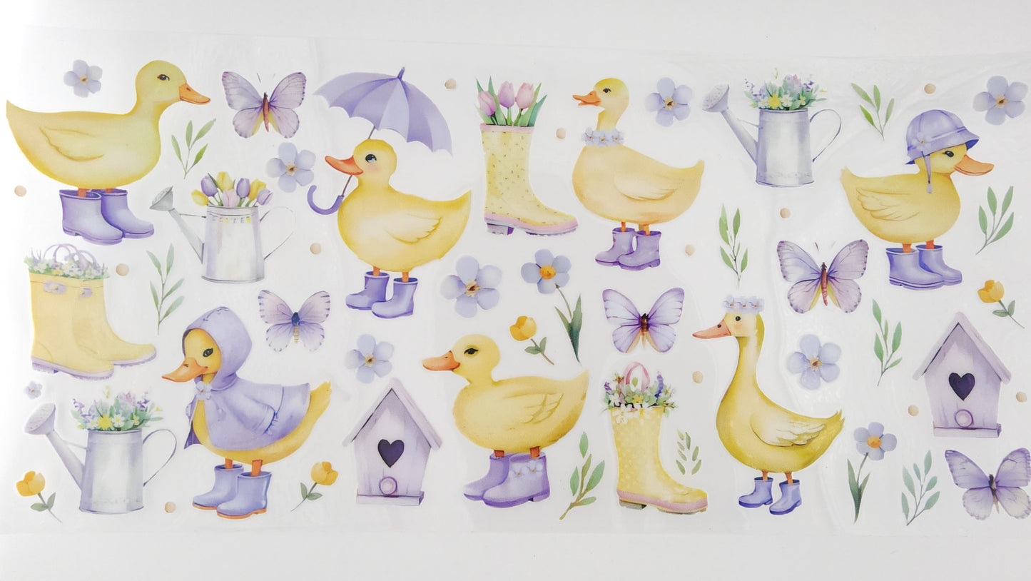 Duck 02