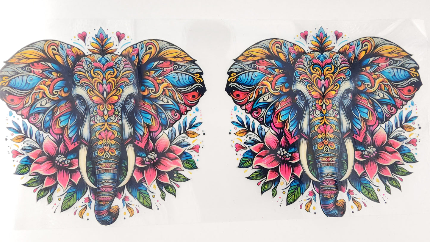 Elephant 19