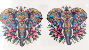 Elephant 19