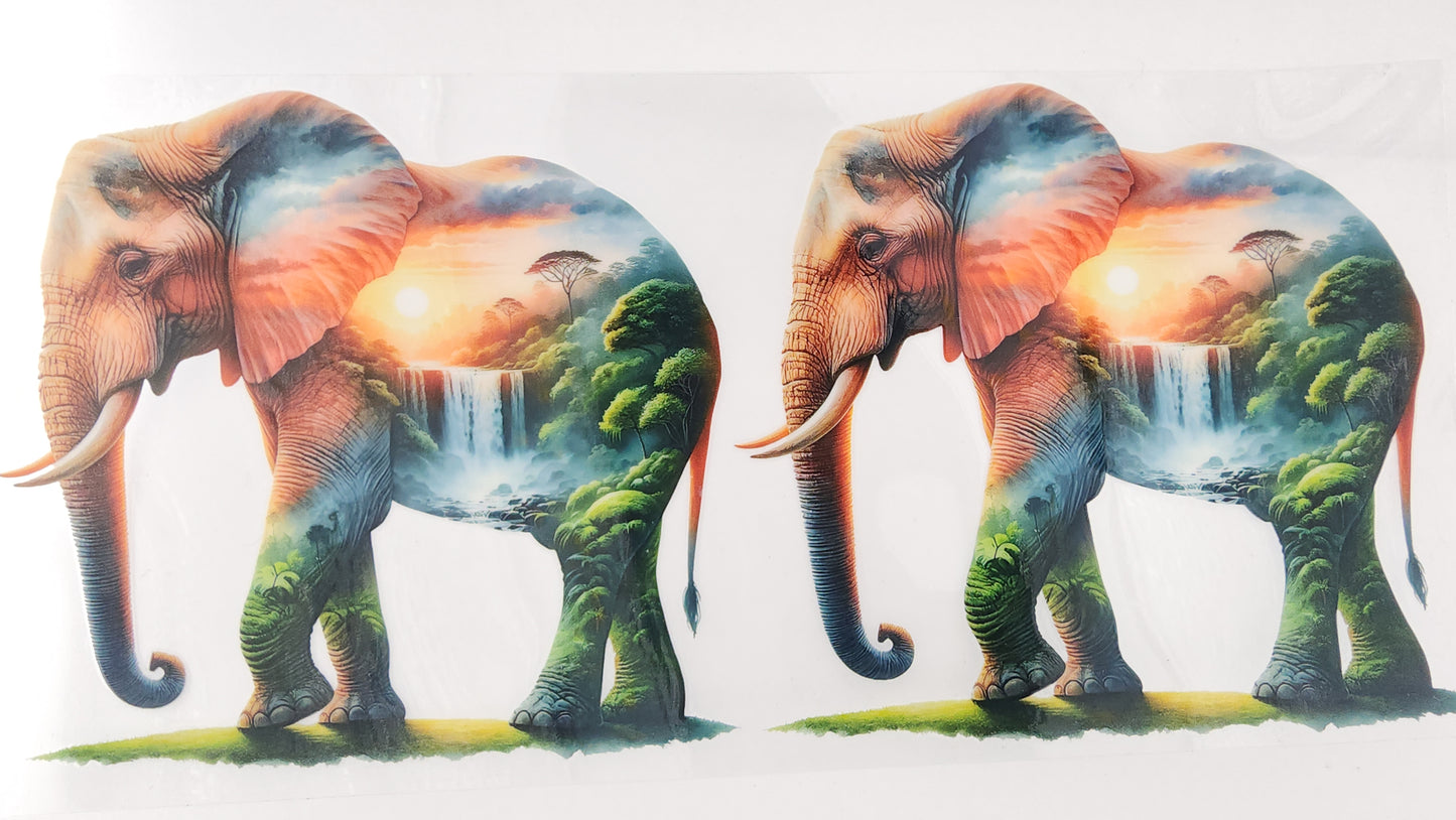 Elephant 13