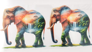 Elephant 13