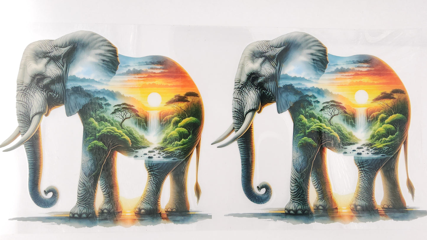 Elephant 14