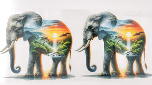Elephant 14