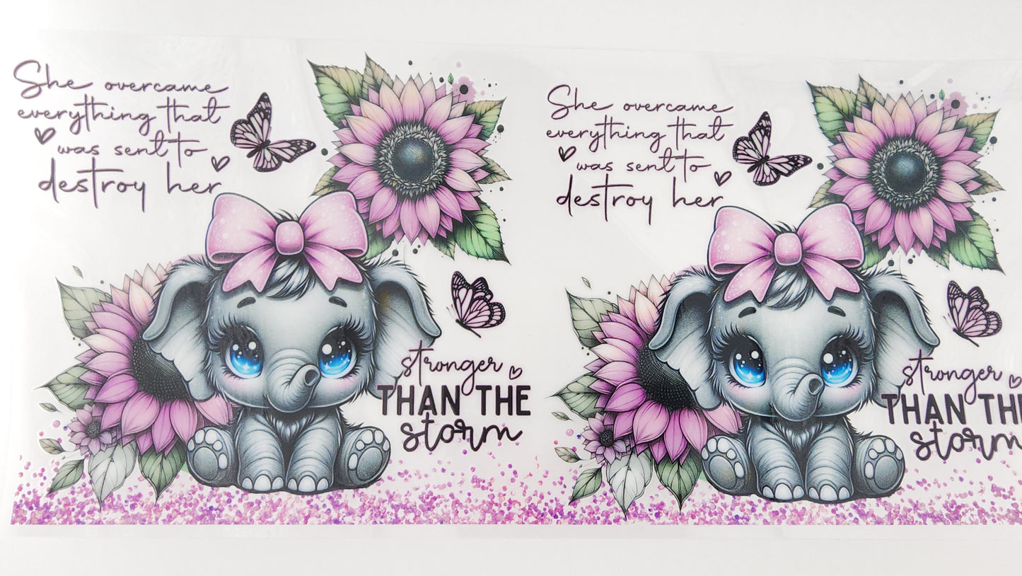 Elephant 06