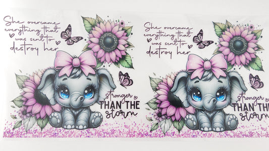 Elephant 06