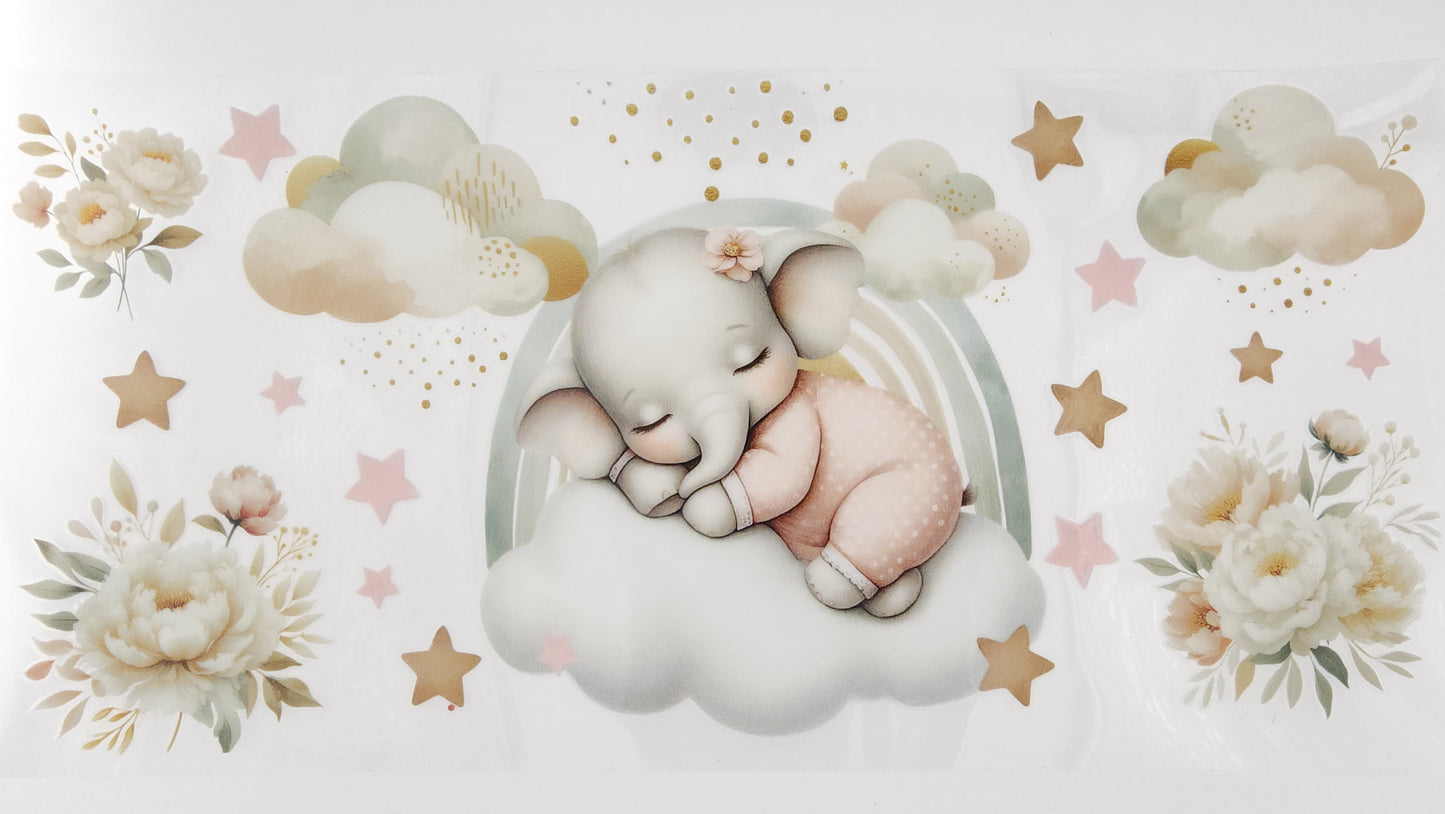 Elephant 17