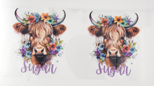 Cow 62
