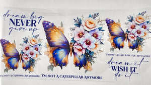 Butterflies 14