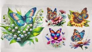 Butterflies 19