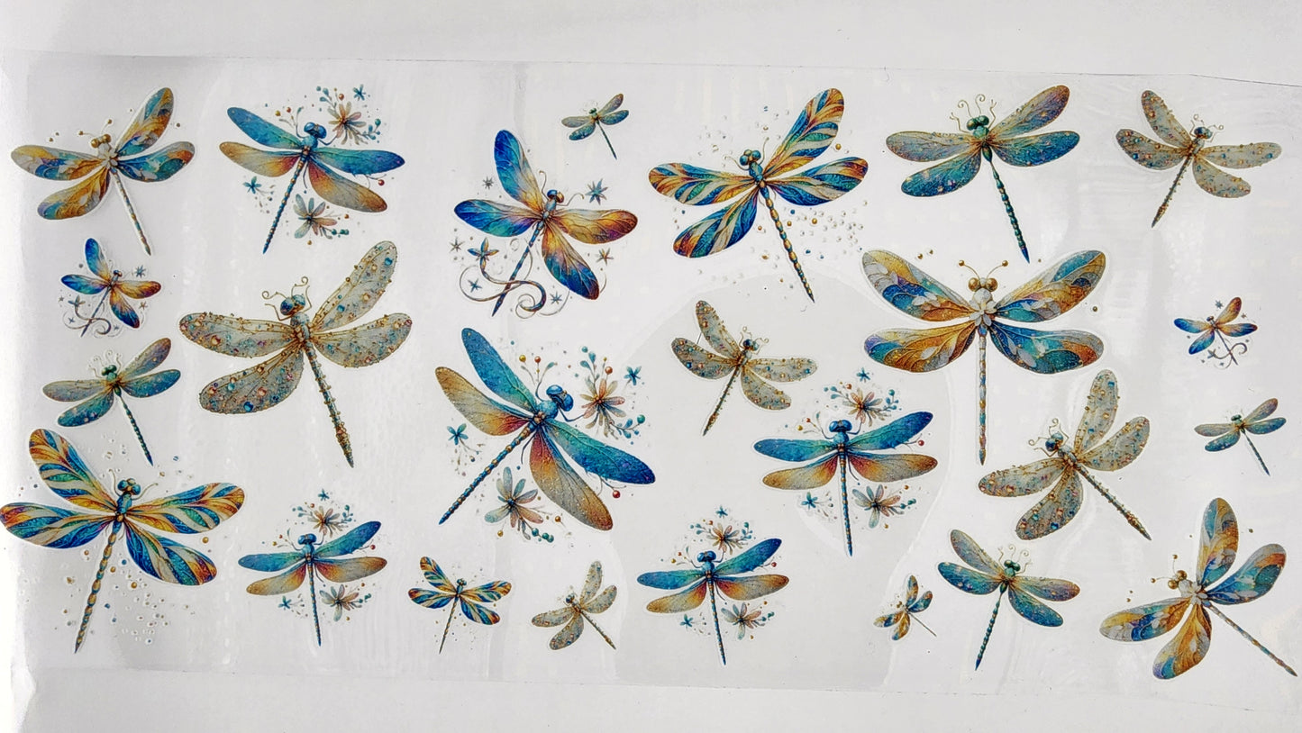 Dragonfly 02