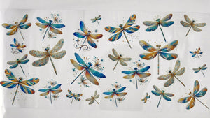 Dragonfly 02