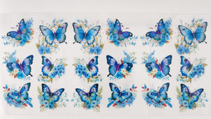 Butterflies 50
