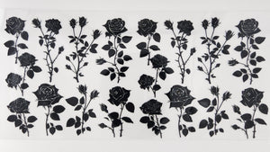 Roses 13