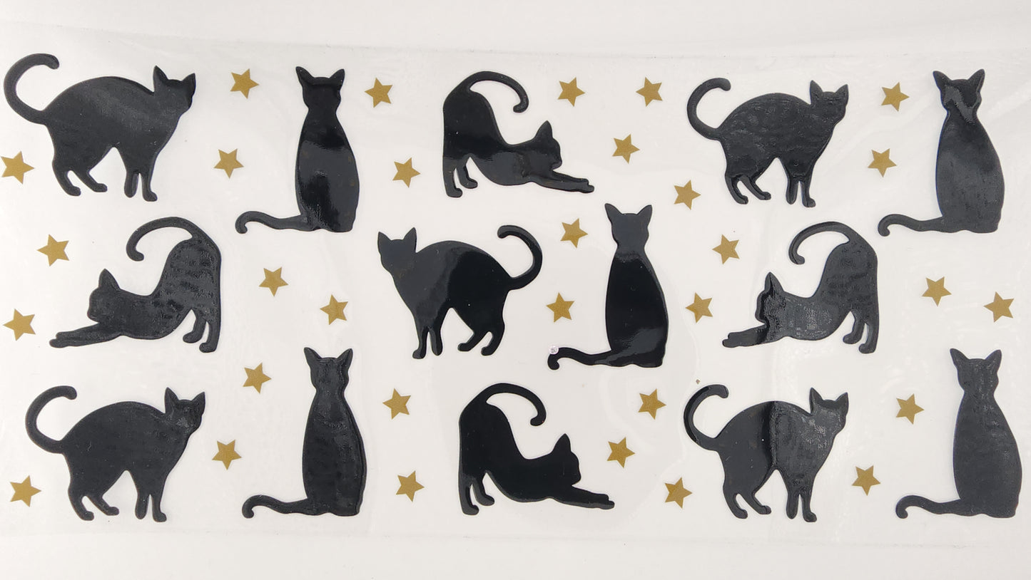 Cat 03