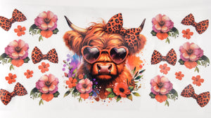 Cow 36